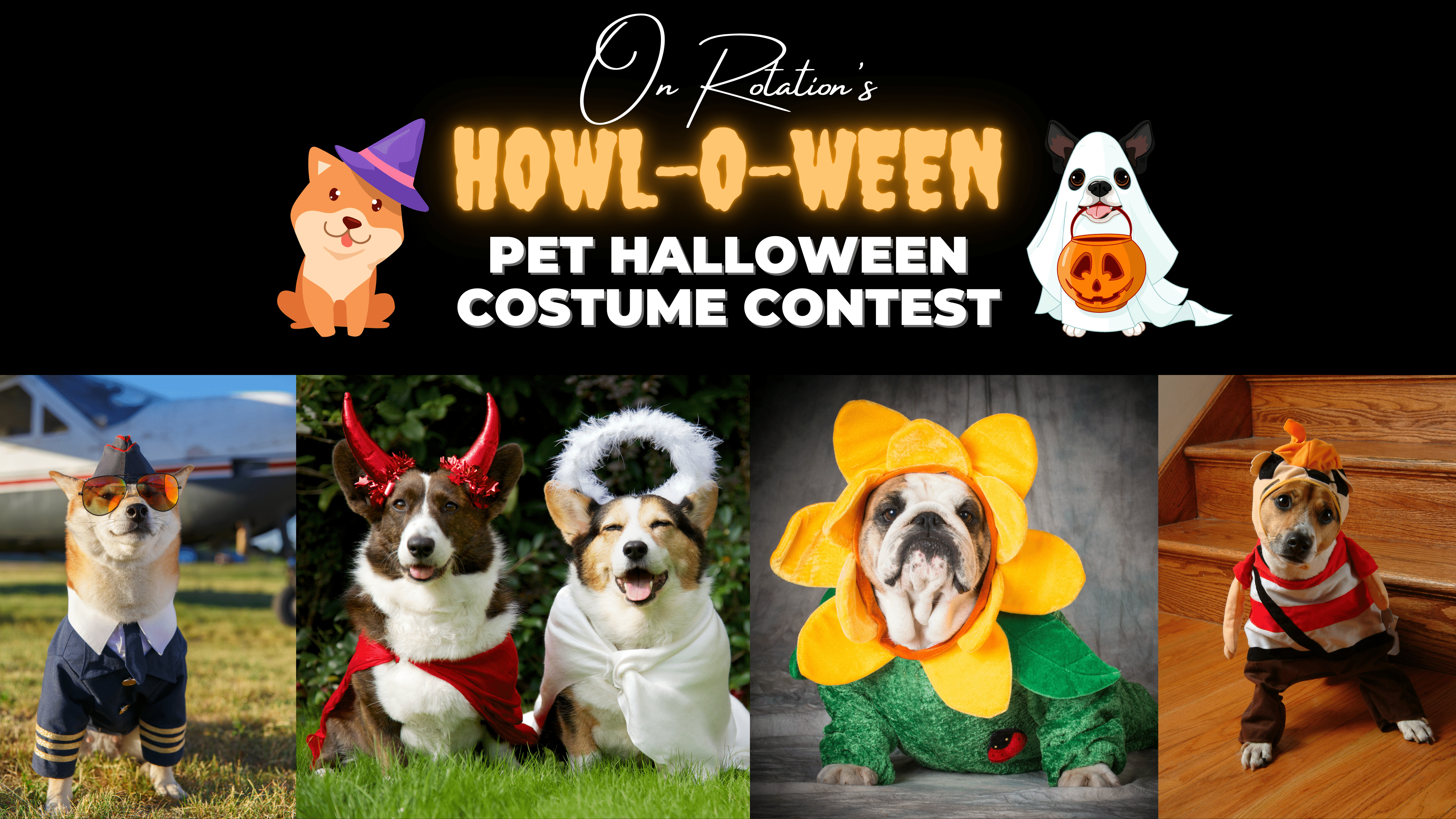 Howl-O-Ween Halloween Pet Costume Contest at On Rotation