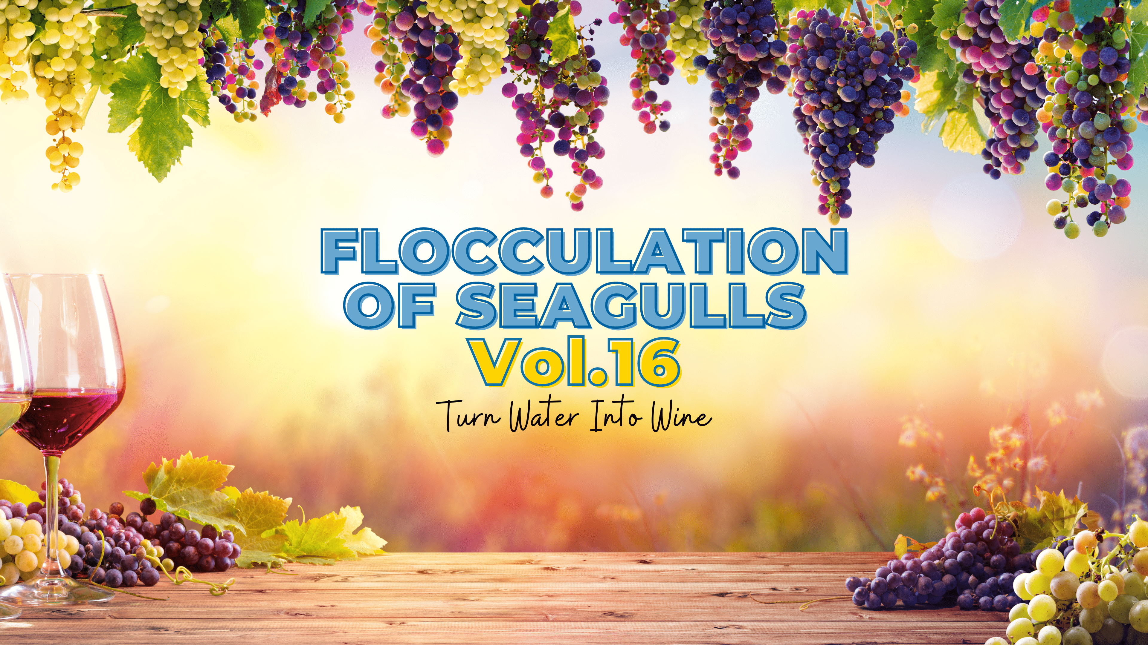 Flocculation of Seagulls Vol 16 Banner