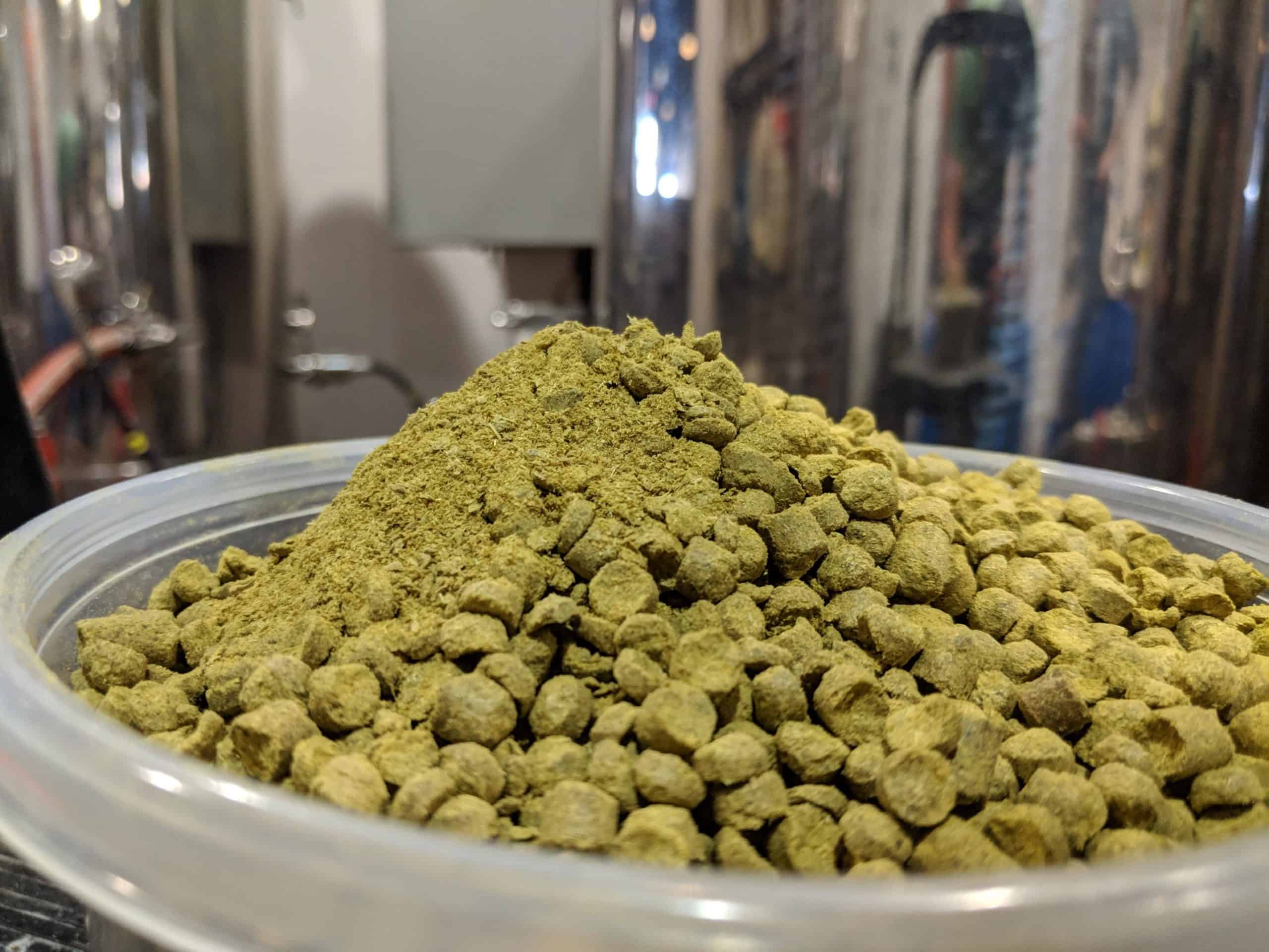Hop Pellets Measured for Brew Day at On Rotation