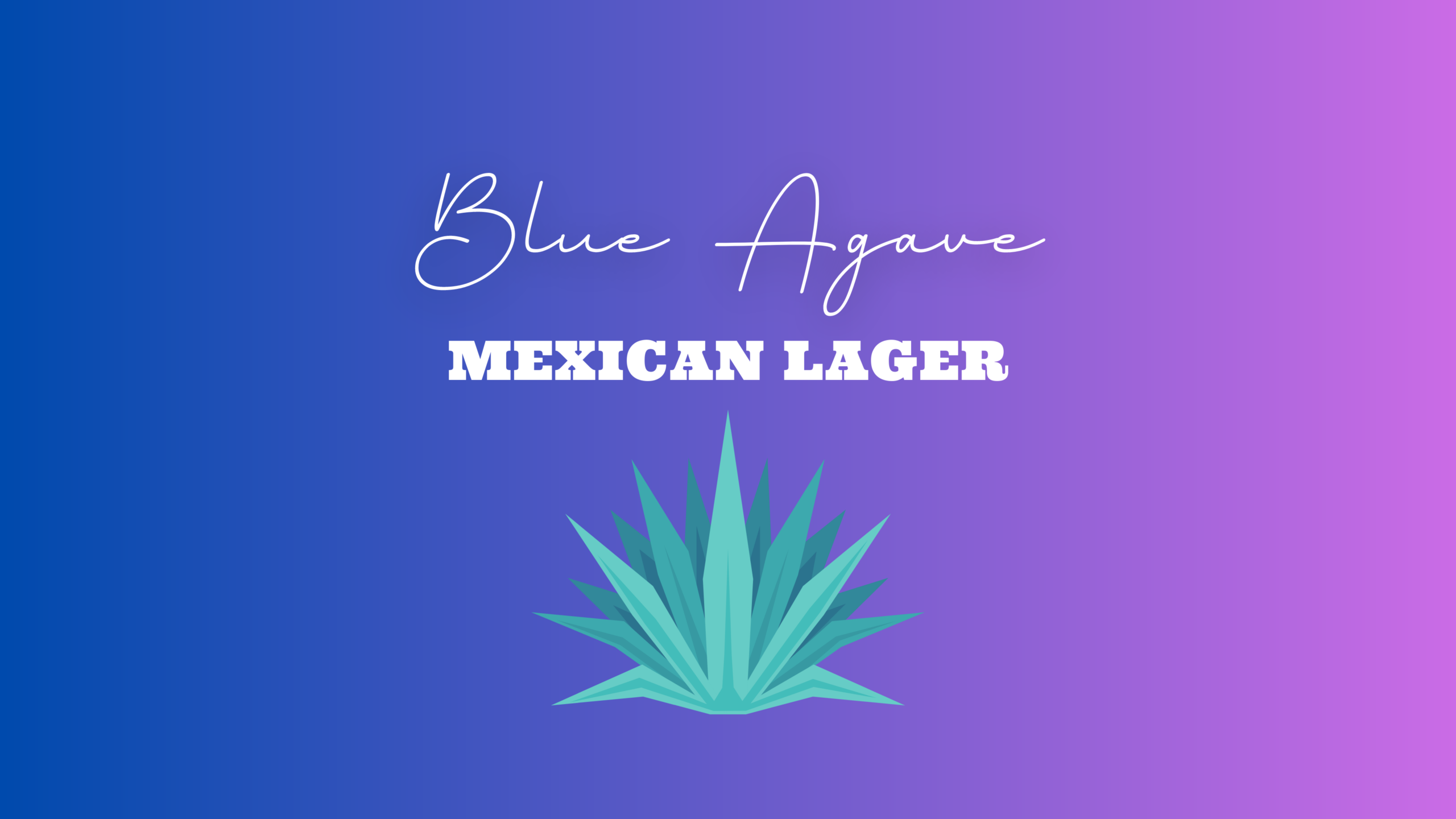 Blue Agave Mexican Lager Release at On Rotation