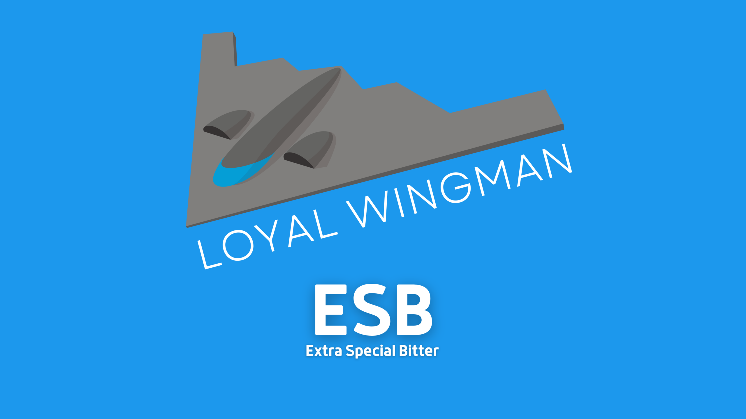 Loyal Wingman ESB Release at On Rotation
