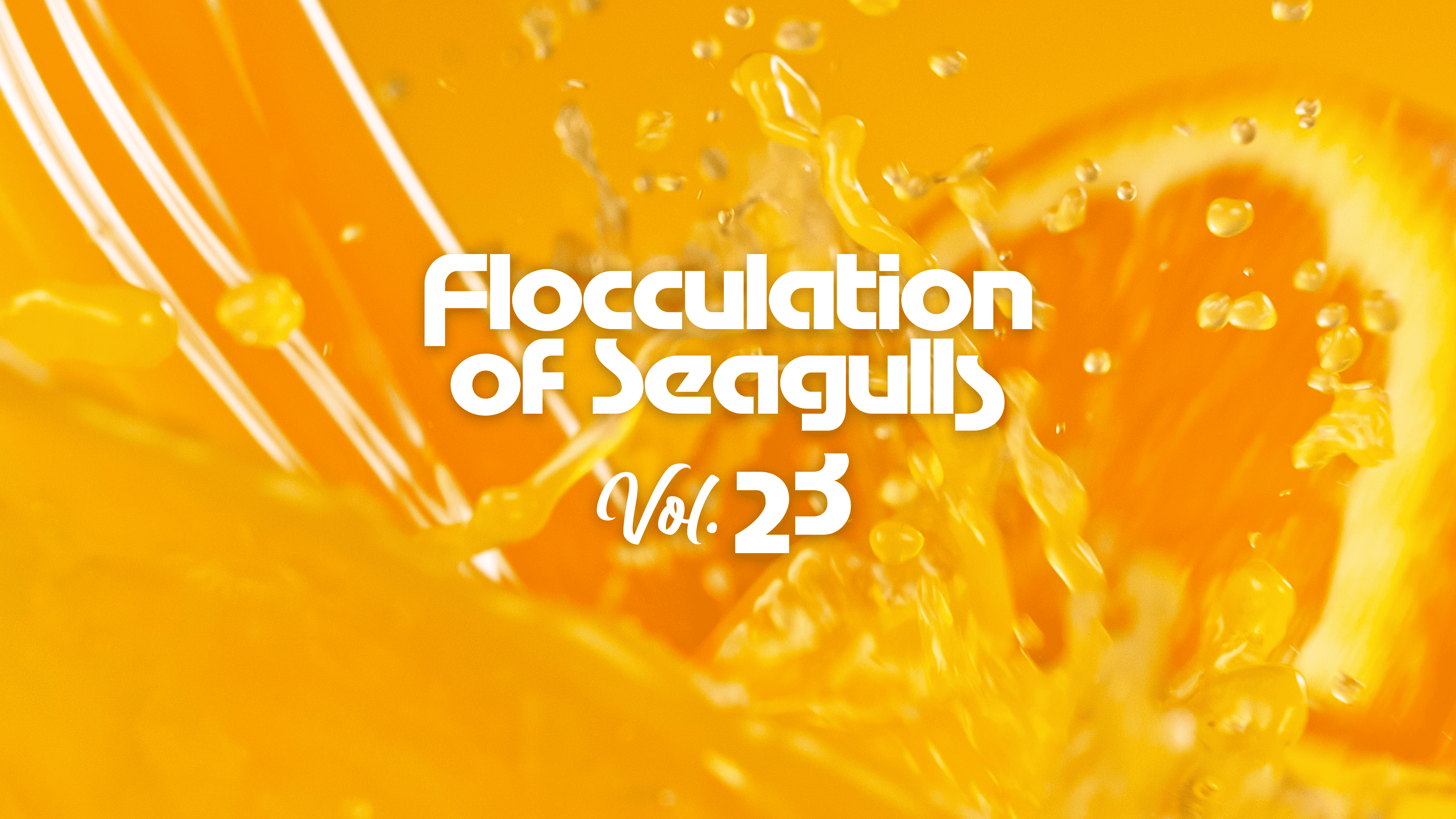 Flocculation of Seagulls Vol.23 Release at On Rotation