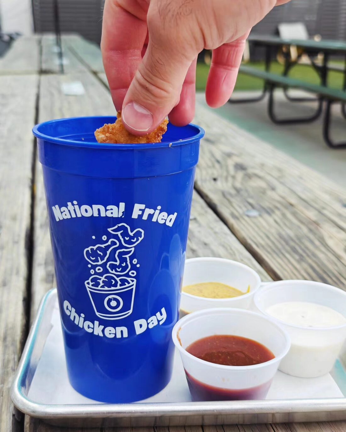 National Fried Chicken Day Nugget Sampler at On Rotation