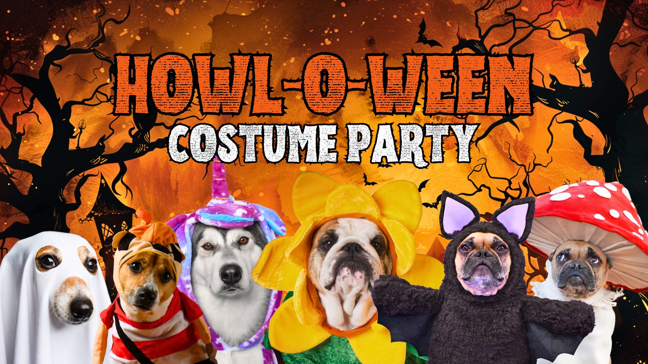 Howl-O-Ween Pet Costume Party at On Rotation